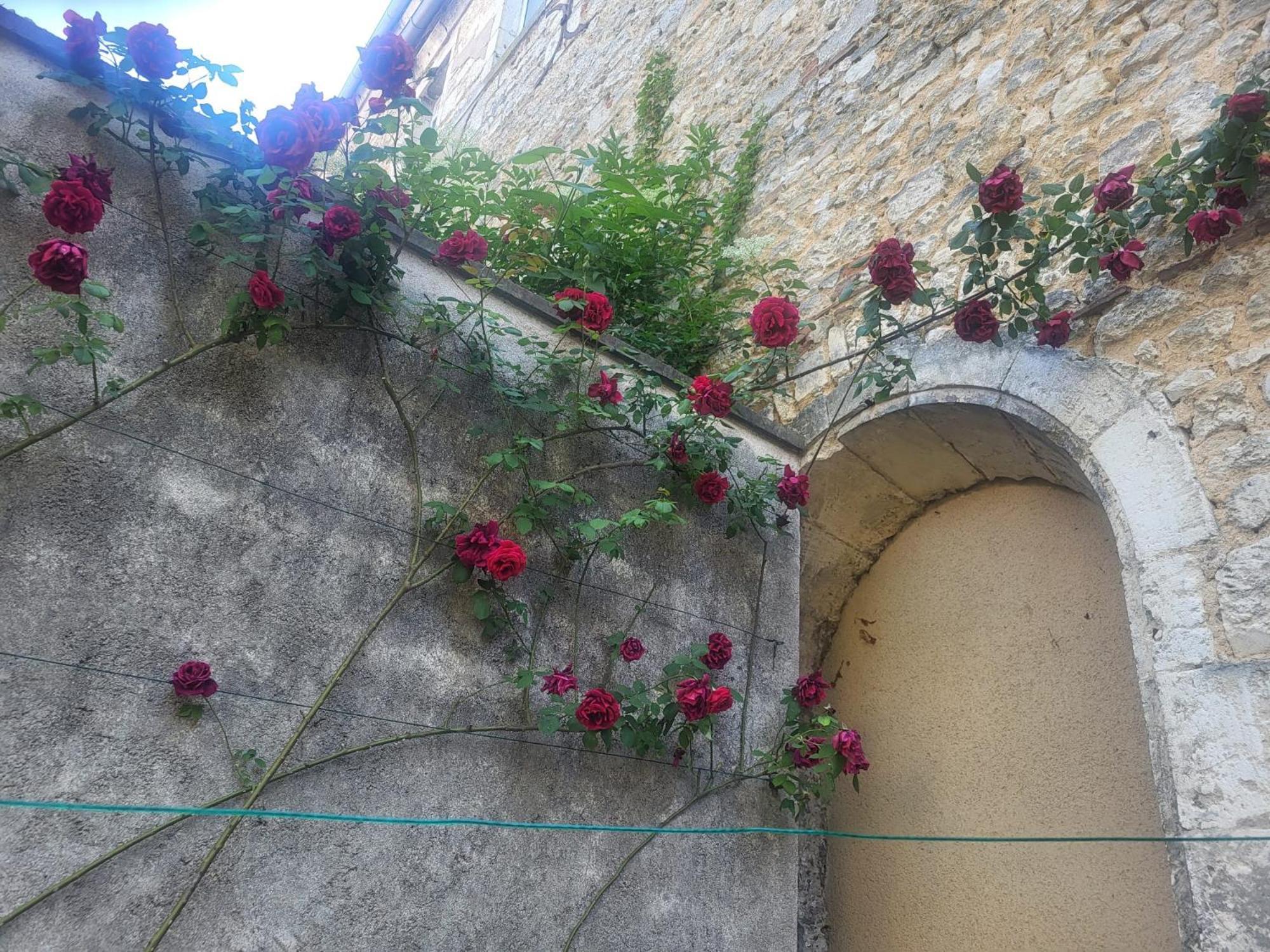 Ferienwohnung Au Puits De L'Abbaye Bourges Exterior foto